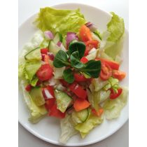 Vitamin zöldsaláta